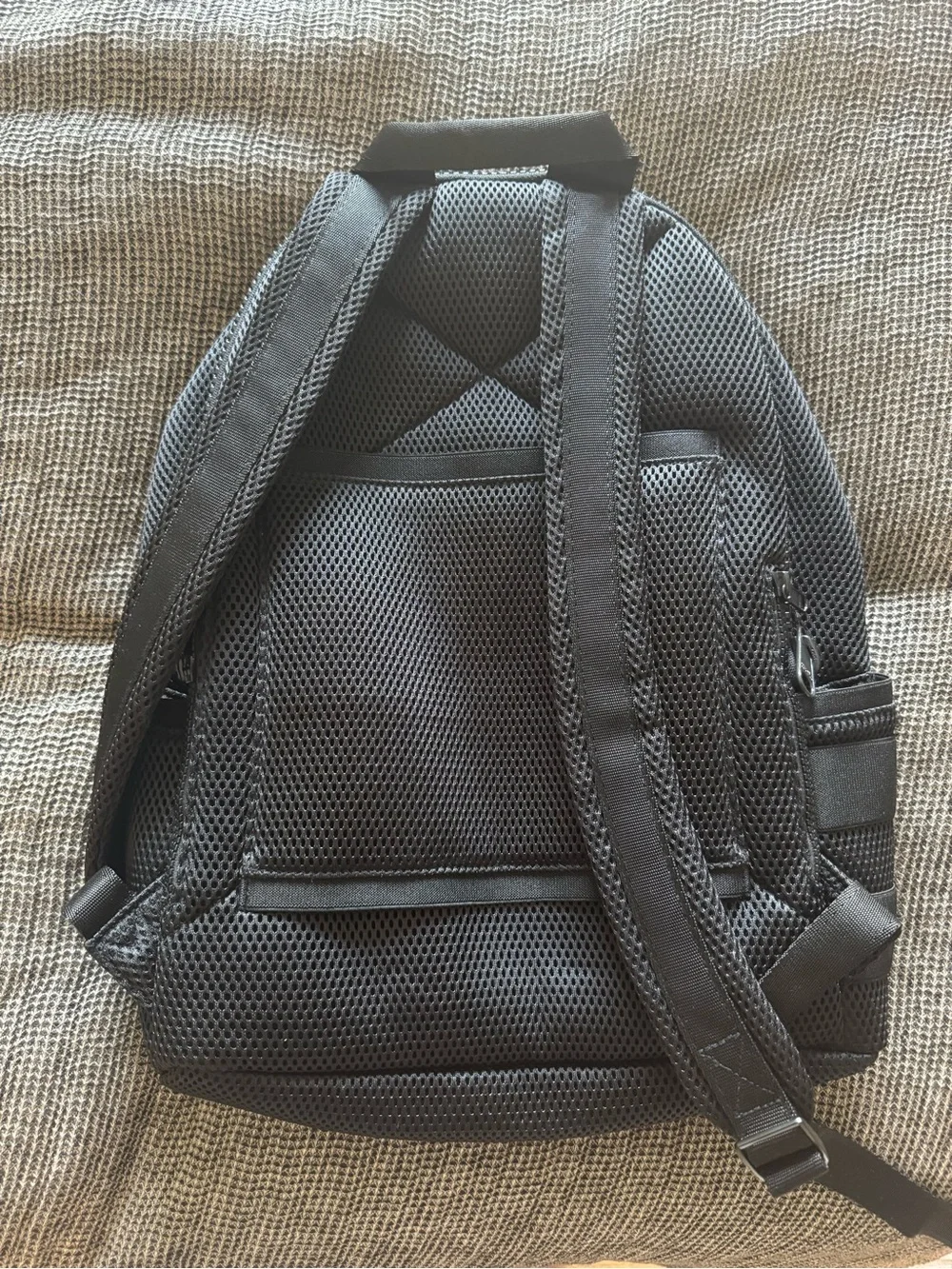 Dagne Dover Black Mesh Mini Backpack